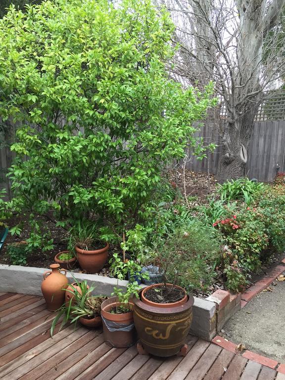 Garden Cottage St Kilda Мельбурн Экстерьер фото
